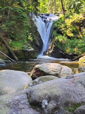 森林树木峡谷小瀑布流图片